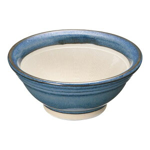 BSL5501 Ȃ܂ X VRSt 4