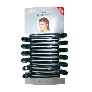 4903329145123 bL[J[NbvLL C1150q䎆r ubN R 114162yLZsz