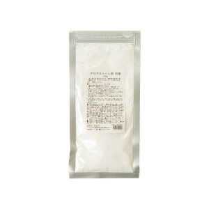 4954753092996 生活の木 石膏パウダー 120g 123095020 113787【キャンセル不可】