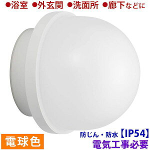 I[d@ 06-3907 hEhIP54 LED 810lm^8D5W^dF^LEĎ^^vdCH LT|F369KL 063907