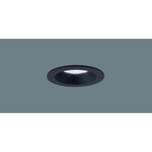 �p�i�\�j�b�N�d�H Panasonic LGD3021NLB1 �_�E�����C�g100�`�W�������F