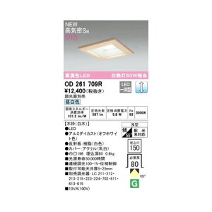 I[fbN ODELIC OD261709R LED_ECg