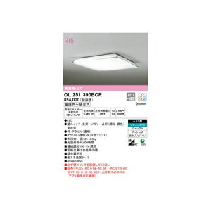 I[fbN ODELIC OL251390BCR LEDV[OCg