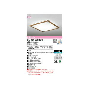 I[fbN ODELIC OL251398BCR LEDV[OCg