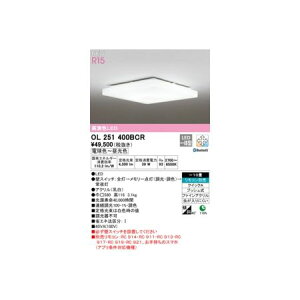 I[fbN ODELIC OL251400BCR LEDV[OCg