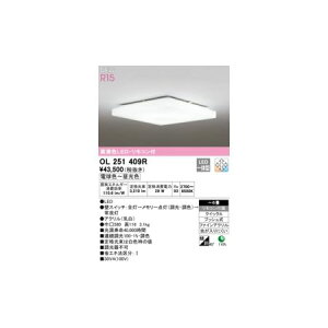 y11/25IIōő100|CgobNzI[fbN ODELIC OL251409R LEDV[OCg