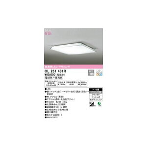 y11/25IIōő100|CgobNzI[fbN ODELIC OL251431R LEDV[OCg