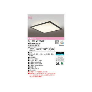 y11/25IIōő100|CgobNzI[fbN ODELIC OL251472BCR LEDV[OCg