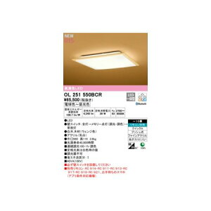 y11/25IIōő100|CgobNzI[fbN ODELIC OL251550BCR LEDV[OCg