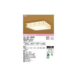 y11/25IIōő100|CgobNzI[fbN ODELIC OL251593R LEDV[OCg