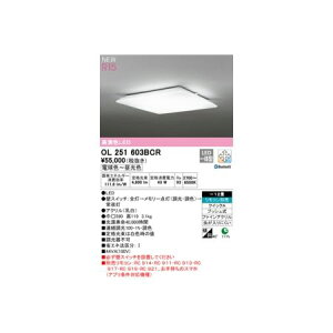 I[fbN ODELIC OL251603BCR LEDV[OCg
