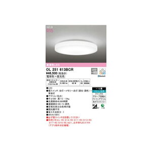 I[fbN ODELIC OL251613BCR LEDV[OCg