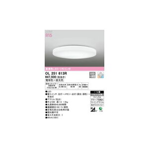 I[fbN ODELIC OL251613R LEDV[OCg