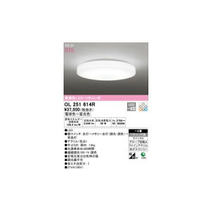 y11/25IIōő100|CgobNzI[fbN ODELIC OL251614R LEDV[OCg