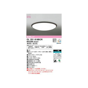 I[fbN ODELIC OL251619BCR LEDV[OCg