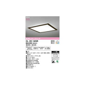 I[fbN ODELIC OL251625R LEDV[OCg