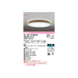 I[fbN ODELIC OL251673BCR LEDV[OCg