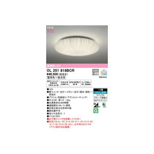 I[fbN ODELIC OL251818BCR LEDV[OCg