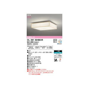 y11/25IIōő100|CgobNzI[fbN ODELIC OL291024BCR LEDV[OCg