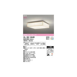 I[fbN ODELIC OL291024R LEDV[OCg