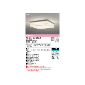 I[fbN ODELIC OL291025BCR LEDV[OCg