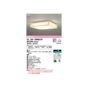 I[fbN ODELIC OL291096BCR LEDV[OCg