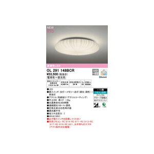 y11/25IIōő100|CgobNzI[fbN ODELIC OL291148BCR LEDV[OCg