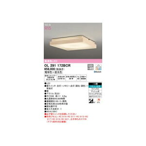 I[fbN ODELIC OL291172BCR LEDV[OCg