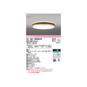 I[fbN ODELIC OL291302BCR LEDV[OCg