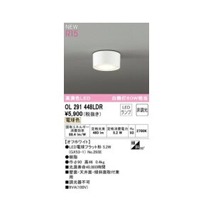 (LINE�N�[�|���L)�I�[�f���b�N ODELIC OL291448LDR �����v�ʍ���