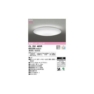 y11/25IIōő100|CgobNzI[fbN ODELIC OL291485R LEDV[OCg