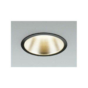 (LINE�N�[�|���L)�R�C�Y�~�Ɩ� AD43365L LED�_�E�����C�g