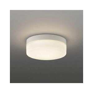 (LINE�N�[�|���L)�R�C�Y�~�Ɩ� AR49373L LED�h�J���p�Ɩ�