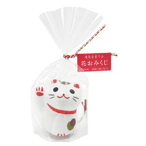 V| 4528757022107 ݂Lq GD-32701yLZsz