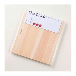 y11/25IIōő100|CgobNzL 4901601175615 ZNg100 JbeBO{[h 230×210mm 000AP5125yLZsz