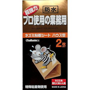 SHIMADA 4964283103161 ̓vgp̋ƖplY~SV[gnEX^2yLZsz