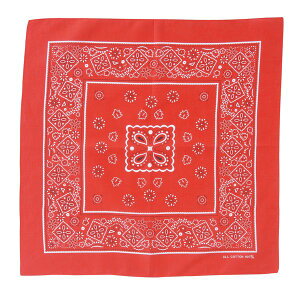 A[ebN ArTec 001243 o_i  4521718012438 bh o_i LbYߑJeS̃o_i Cxg w|