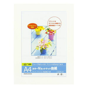 iJoV DGVM-A4-W/V J[VJbg䎆A4^zCg DGVMA4W/V