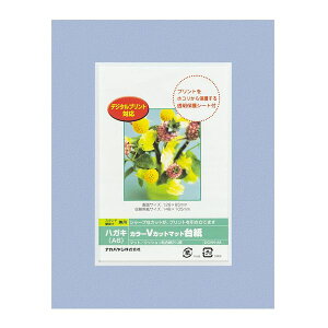 (LINEN[|L)iJoV DGVM-A6-B/V J[VJbg䎆A6^u[^V DGVMA6B/V