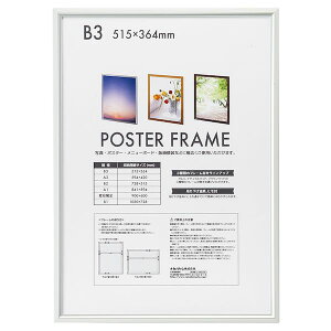 ナカバヤシ F-PFA-B3-S アルミ製ポスターフレーム B3 シルバー FPFAB3S