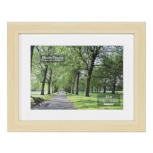 iJoV F-SP-101-N ʐ^z 2L^i` FSP101N