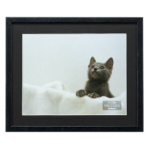 y12/10IIōő100|CgobNziJoV F-SW-112-D ؐʐ^z Zc ubN FSW112D