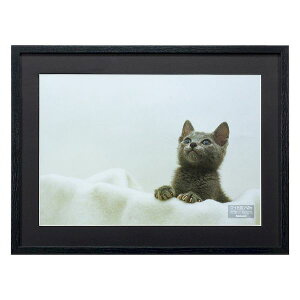 iJoV F-SW-116-D ؐʐ^z Wlc ubN FSW116D