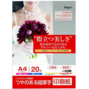 (LINE�N�[�|���L)�i�J�o���V JPSK2-A4-20 IJ��掆SK2�^������^A4�^20�� JPSK2A420