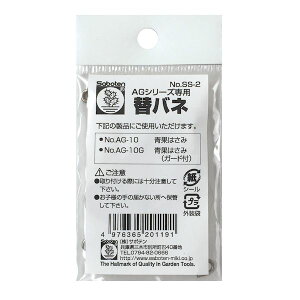 T{e SS-2 փol AG|10C10Gp 2{ SS2