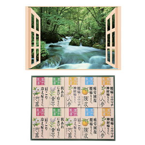 yF1zB6133529+8095652  sE[J[s v C̃|X^[ lG ̌k { p܃MtgZbg