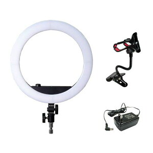 �y���F1�zL27855 ���� ����s�E�����[�J�[�����s�� LPL LED���C�g�r���[�e�B�[�t�F�C�X VLR�|F300XP