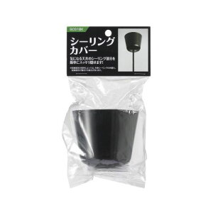 yF1zSC01BK  sE[J[s YAZAWA V[OJo[ubN