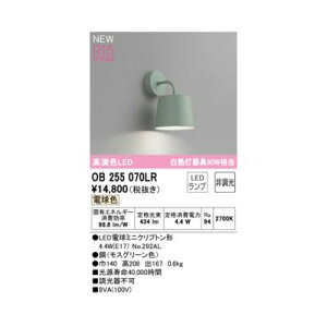 I[fbN ODELIC OB255070LR vʍ