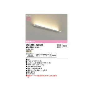 �I�[�f���b�N ODELIC OB255228ER ���̕ʍ�